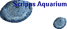 Scripps Aquarium